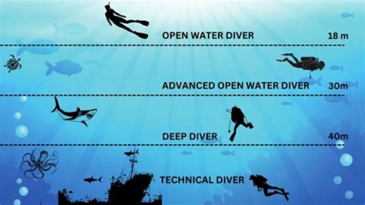 A Deep Dive Into The Marvelous Discovery