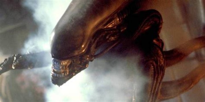 Alien Sister Photos And Video Gone Viral On TikTok Alien