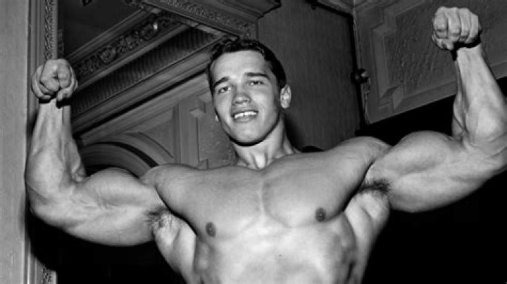 Arnold Schwarzenegger's Family 'Ignores' Actor's Illegitimate Son