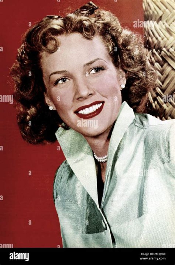 Barbara Britton Hollywood Actress and Movie Legend 40Trading Cards