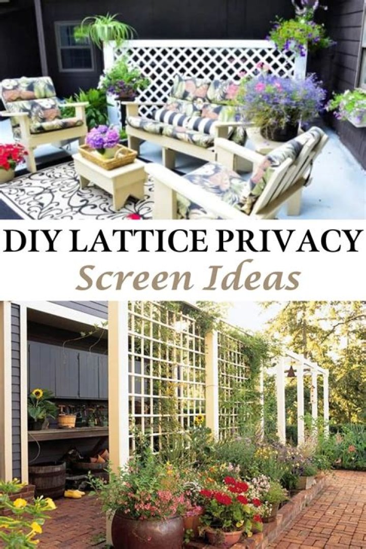 DIY Privacy Haven: Protect Your Garden From "Stefanie Gurzanski OnlyFans Leaks" Fallout