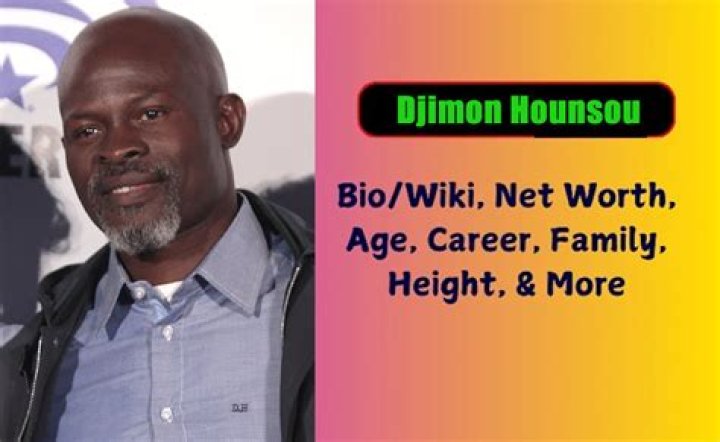 Djimon Hounsou Biography, Height & Life Story Super Stars Bio