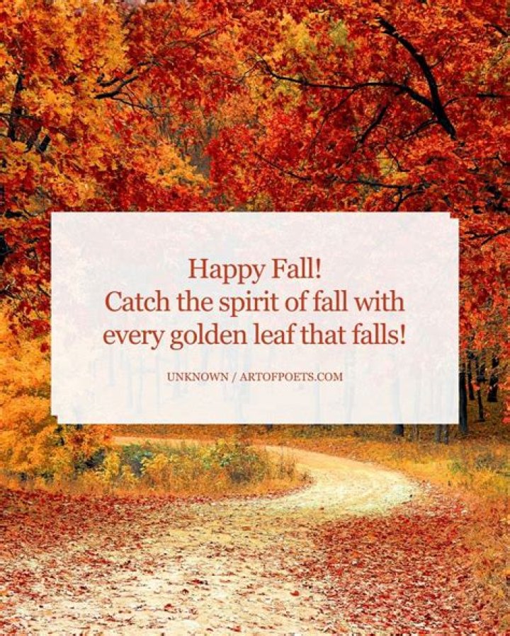 fall quote from you've got mail