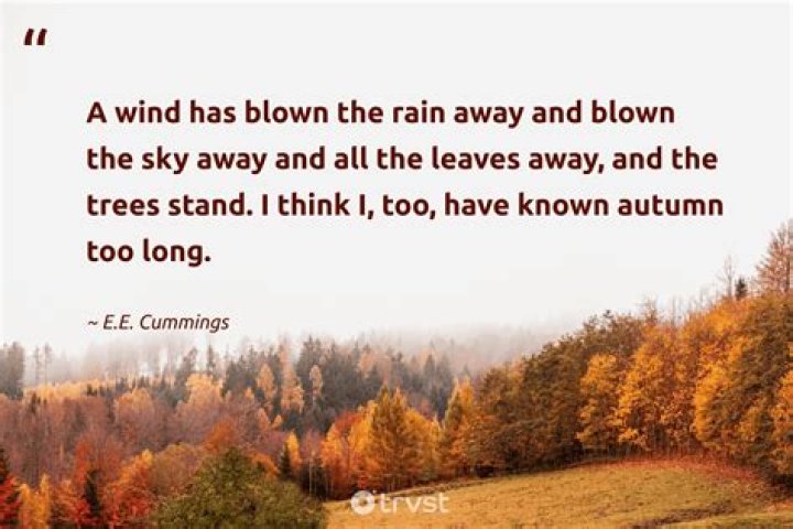 Fall Quotes EE Cummings