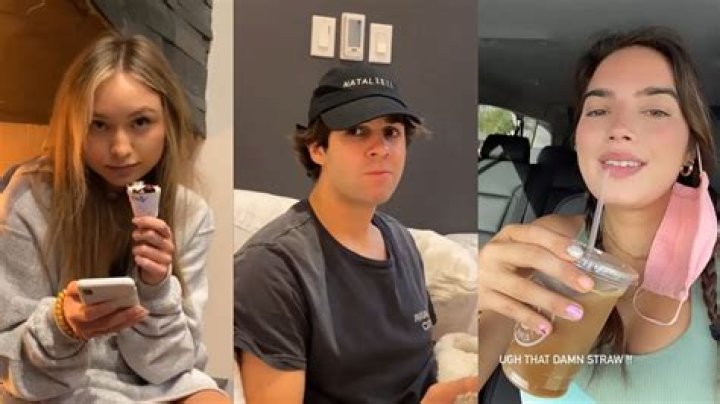Is David Dobrik Dating Taylor In 2022? Relationship Timeline