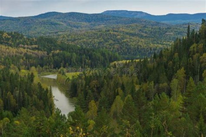 Jeb river curves stock image. Image of wildlife, taiga 101602893
