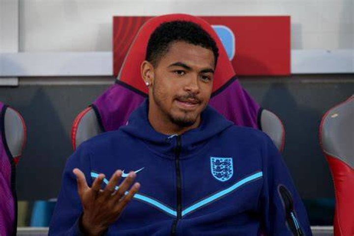 Levi Colwill Childhood Story Plus Untold Biography Facts