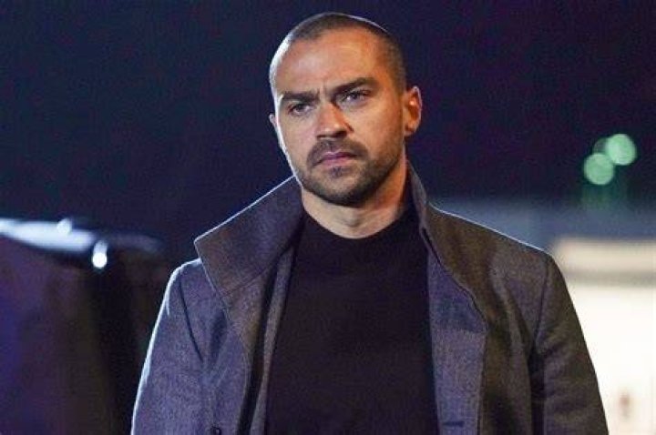 &lsquo;Grey&rsquo;s Anatomy&rsquo; Star Jesse Williams Divorcing Wife Aryn DrakeLee Report