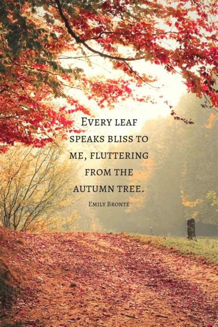 quote about fall from where the crawdads sing by delia owens