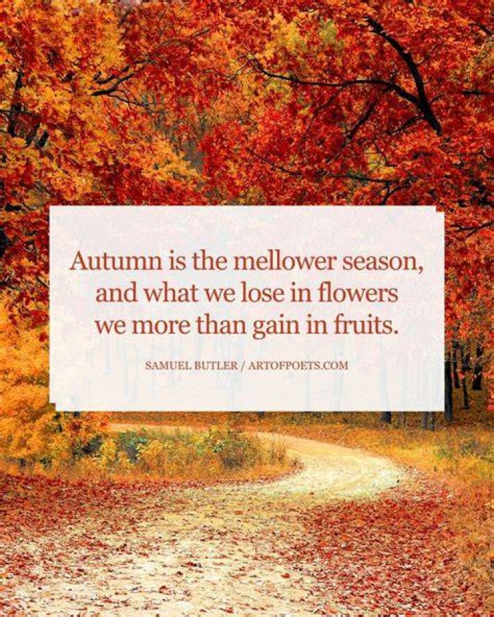 quote from the autumn by elizabeth barrett browning