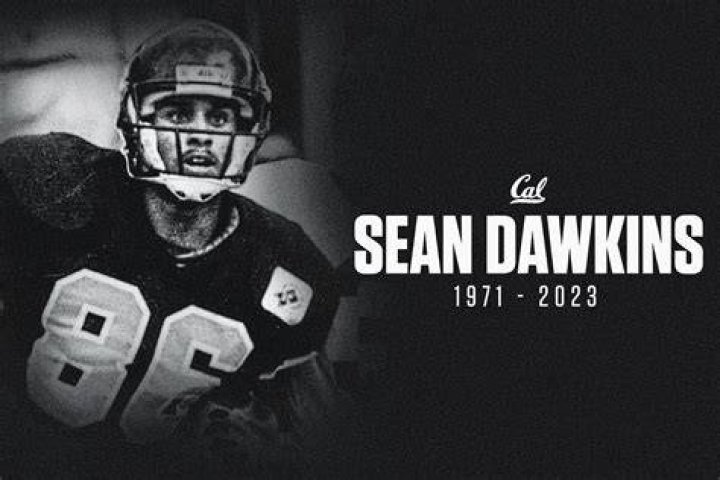 Remembering Sean Dawkins A Tribute to His Life and Legacy SoapAsk