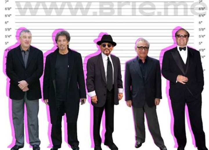 Robert De Niro Height Brie