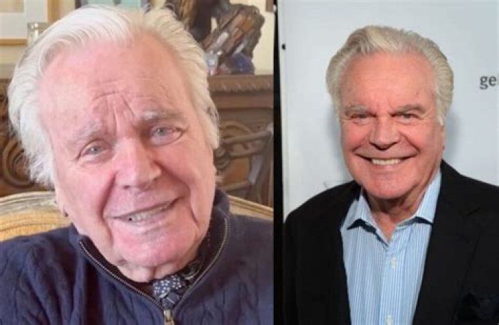 Robert Wagner Net Worth Celebrity Net Worth