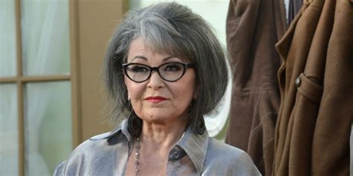 Roseanne Barr Net Worth Net Worth Lists
