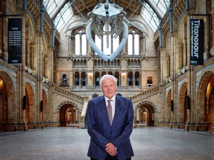 Sir David Attenborough to present new natural history series for BBC
