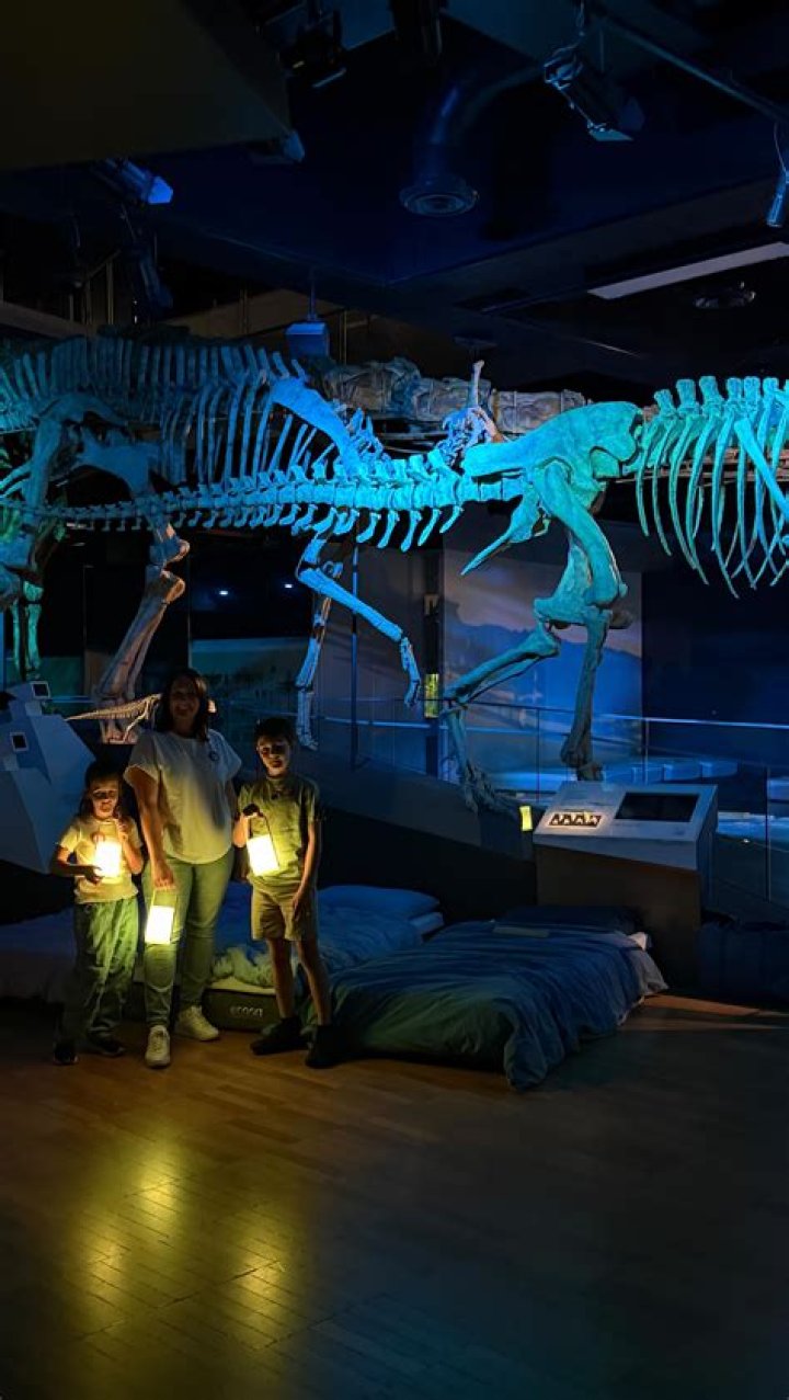Sleeping With Dinosaurs: Exploring The Link Between ADHD And Sleep