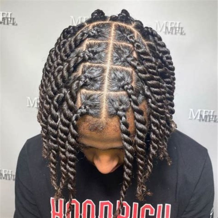 Two Strand Twist Hairstyles, Dreadlock Hairstyles For Men, Black Men