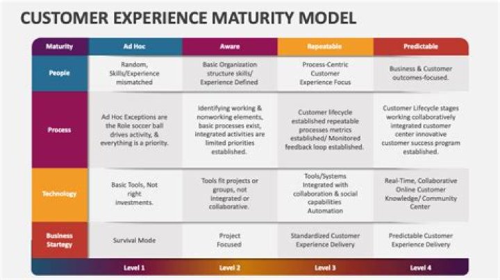 Unveiling Experience, Maturity, And Influence