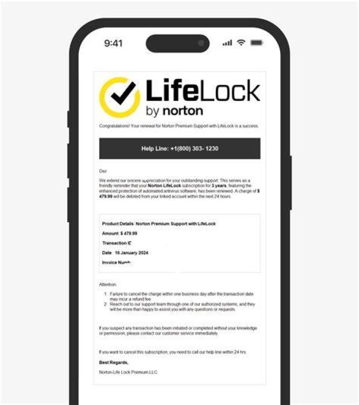 Vad är Norton LifeLock email scam