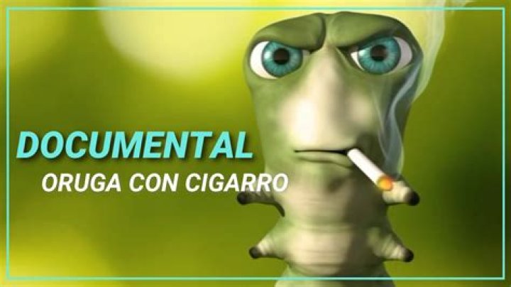 Video De La Oruga Hondure&ntilde;a Soy Pack Soyloruga
