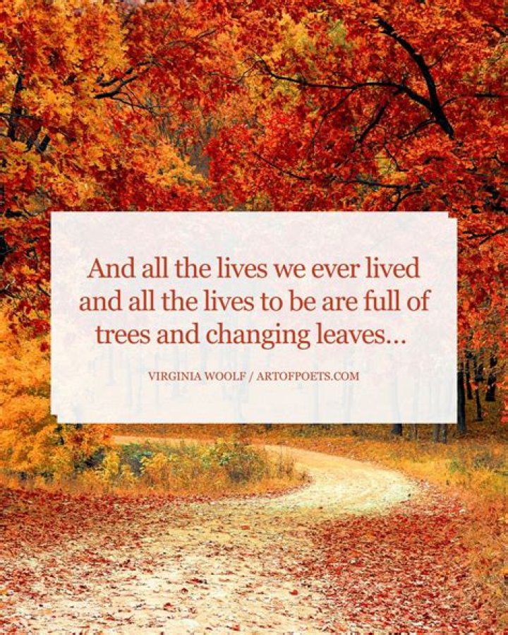 Virginia Woolf Fall Quotes