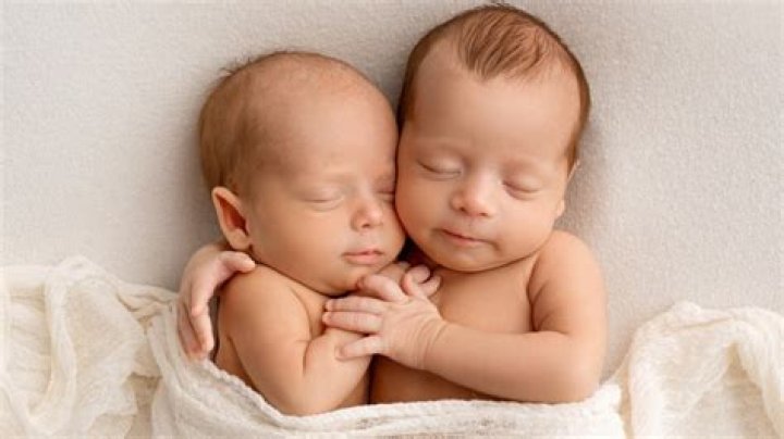 What Happens If A Royal Has Twins?